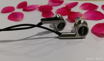 國(guó)產(chǎn)小美脈歌再推新作 MACAW RT 20單動(dòng)圈Hi-Fi耳機(jī)，電子配件市場(chǎng)的璀璨明珠